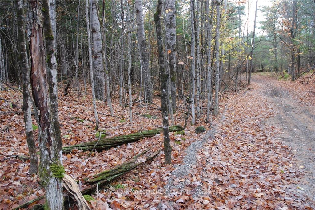 Photo 14 of North Street, Lanark Highlands, Lanark Highlands (Lanark Village) — HOMEH