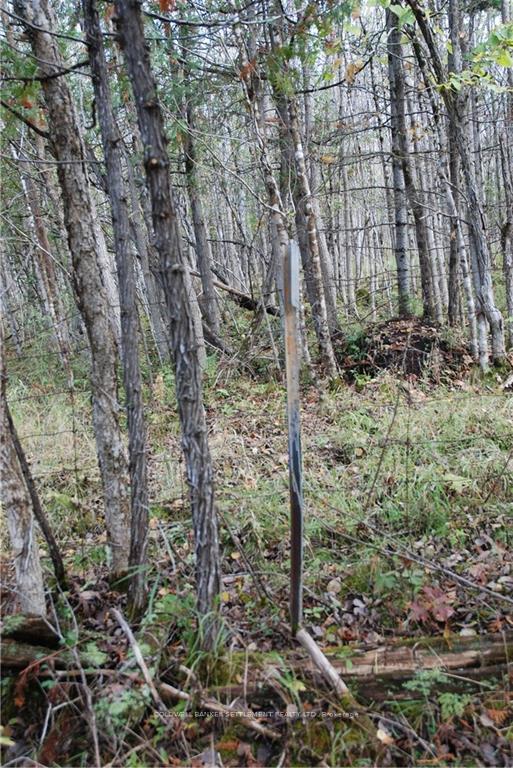 Photo 15 of North Street, Lanark Highlands, Lanark Highlands (Lanark Village) — HOMEH