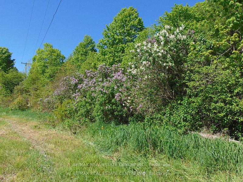 Photo 3 of 322 Barker Road, Madoc — HOMEH