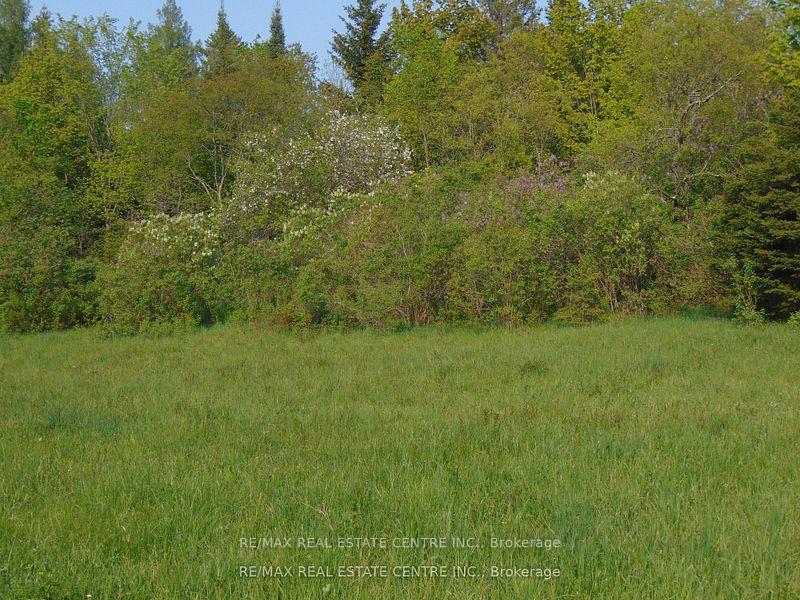 Photo 4 of 322 Barker Road, Madoc — HOMEH