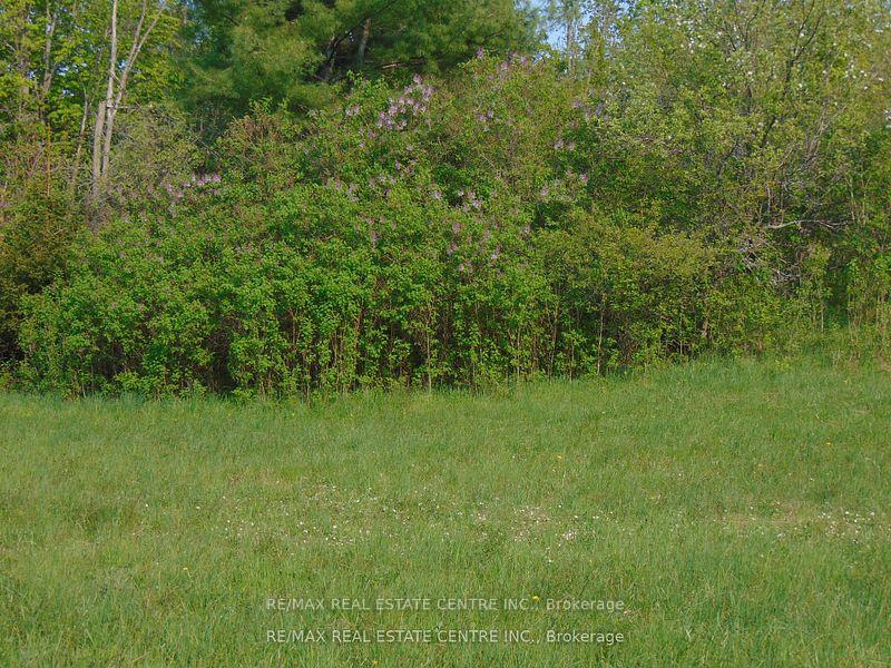 Photo 5 of 322 Barker Road, Madoc — HOMEH