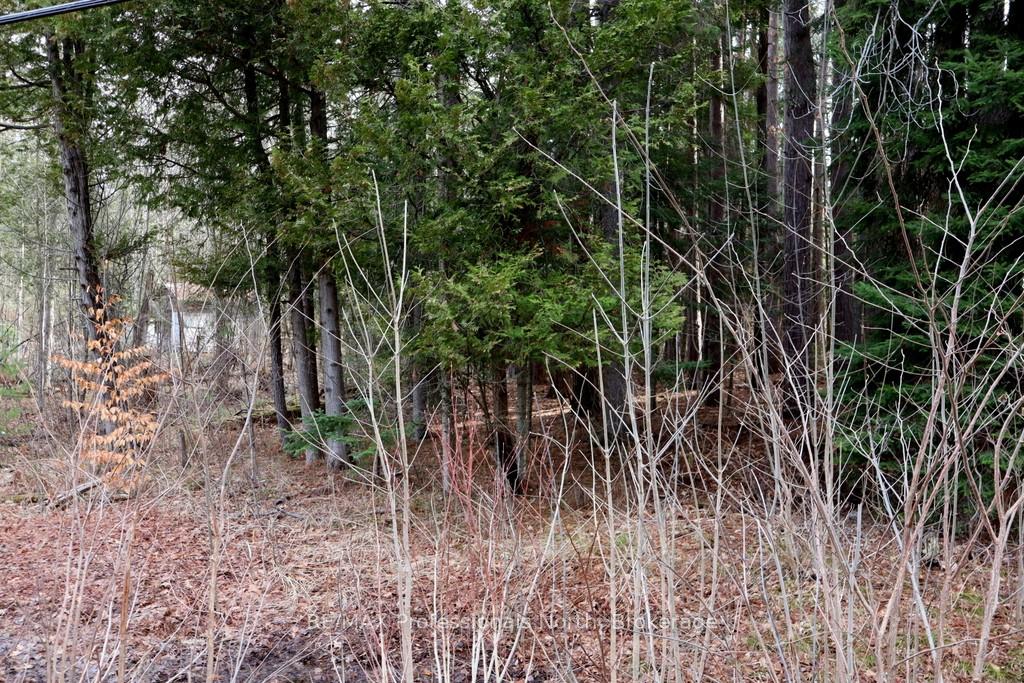Photo 2 of Maebar Road, Minden Hills, Minden — HOMEH