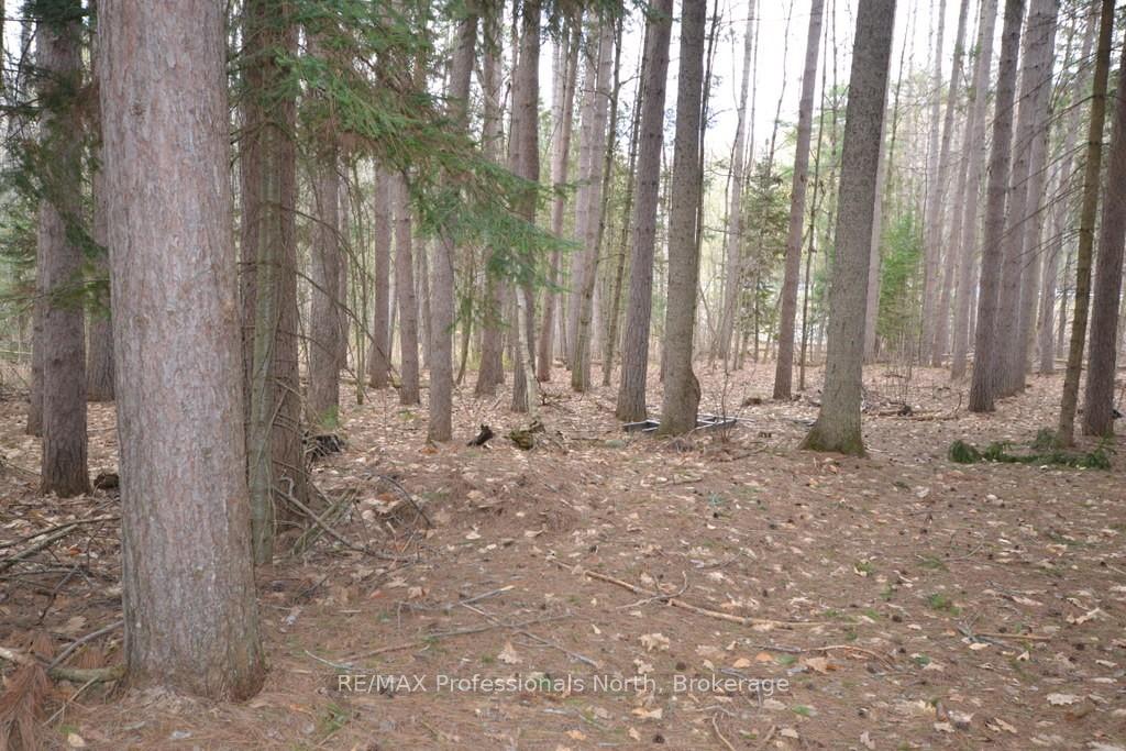 Photo 6 of Maebar Road, Minden Hills, Minden — HOMEH