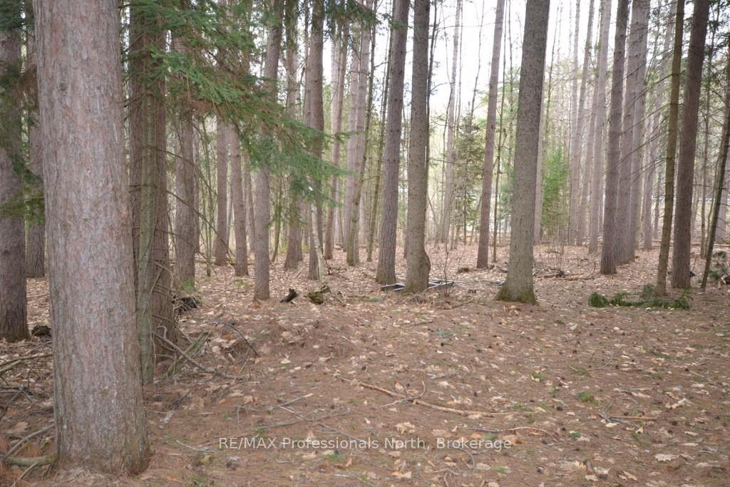 Photo 7 of Maebar Road, Minden Hills, Minden — HOMEH