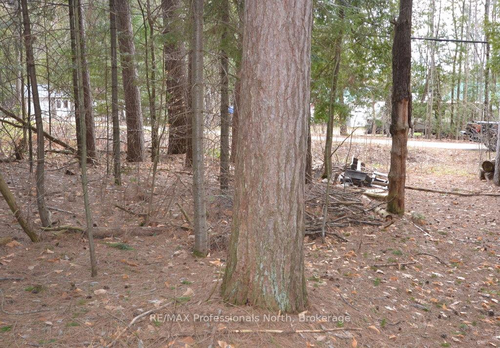 Photo 8 of Maebar Road, Minden Hills, Minden — HOMEH