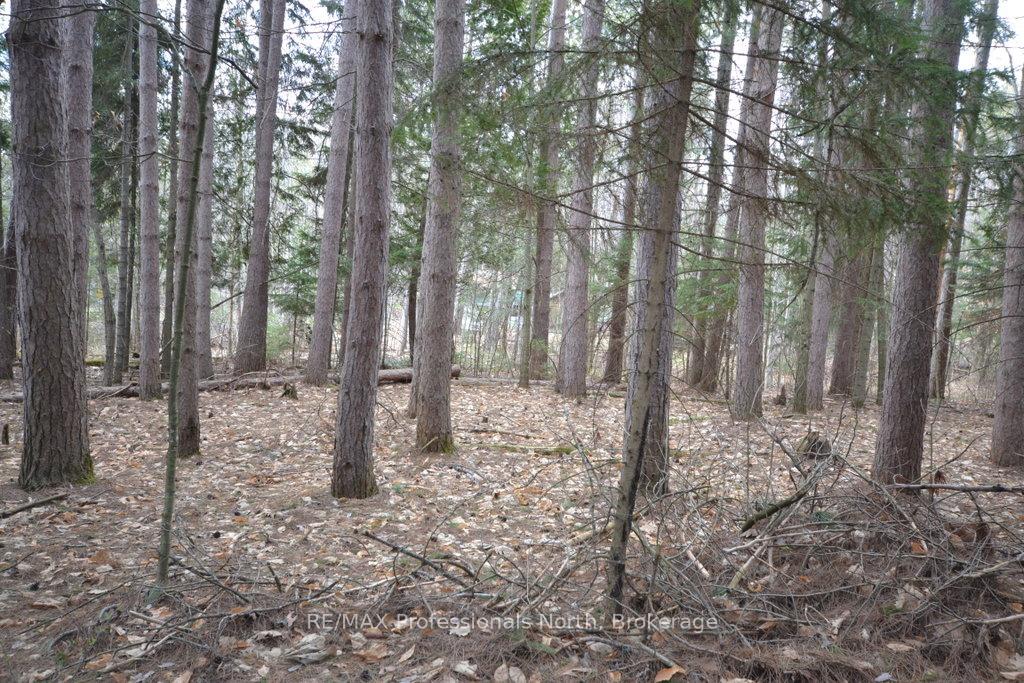 Photo 9 of Maebar Road, Minden Hills, Minden — HOMEH