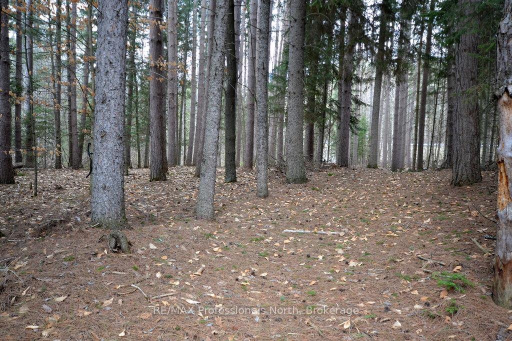 Photo 10 of Maebar Road, Minden Hills, Minden — HOMEH