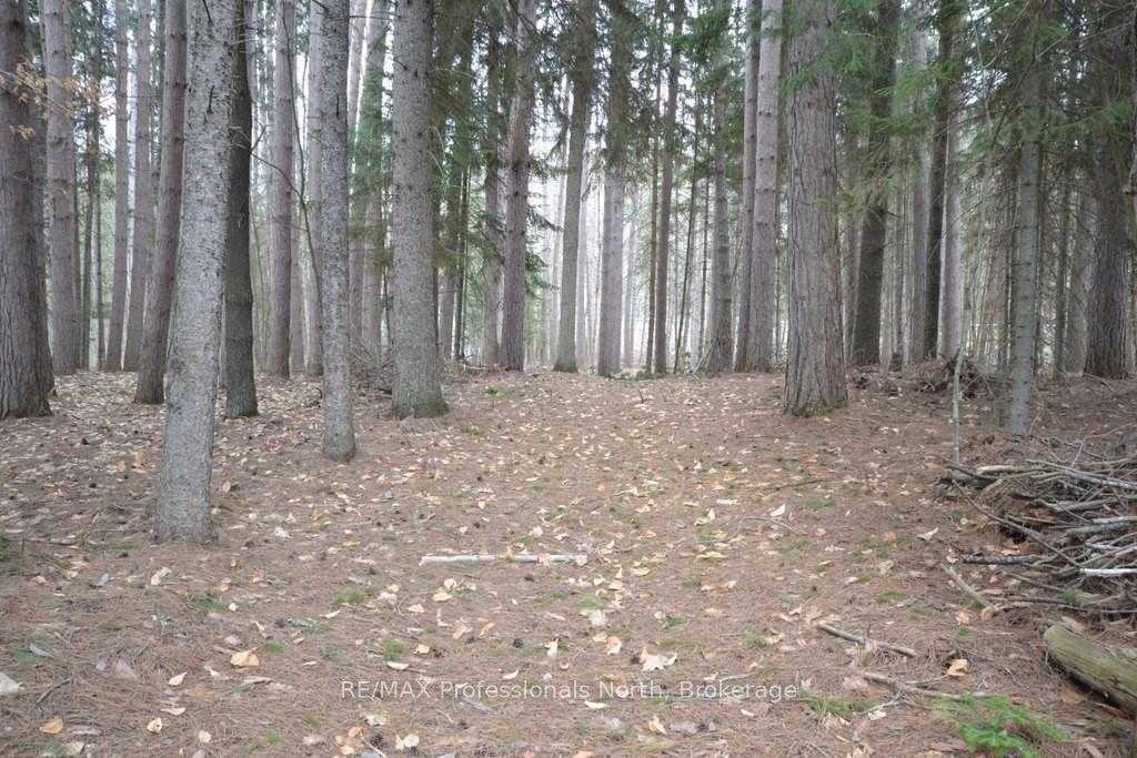 Photo 12 of Maebar Road, Minden Hills, Minden — HOMEH