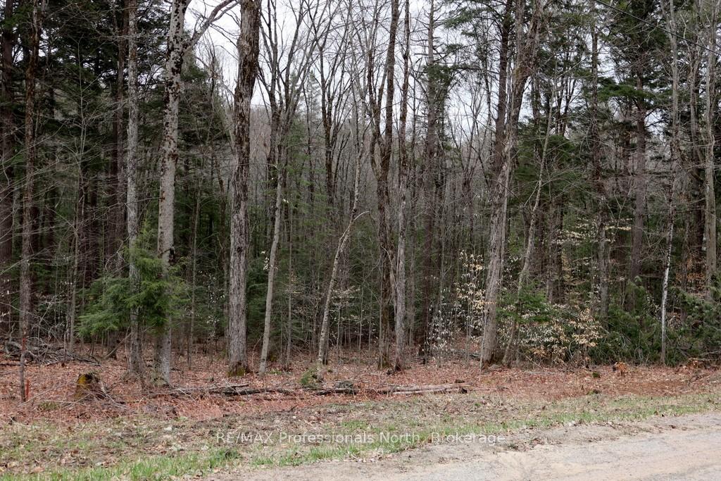 Photo 13 of Maebar Road, Minden Hills, Minden — HOMEH