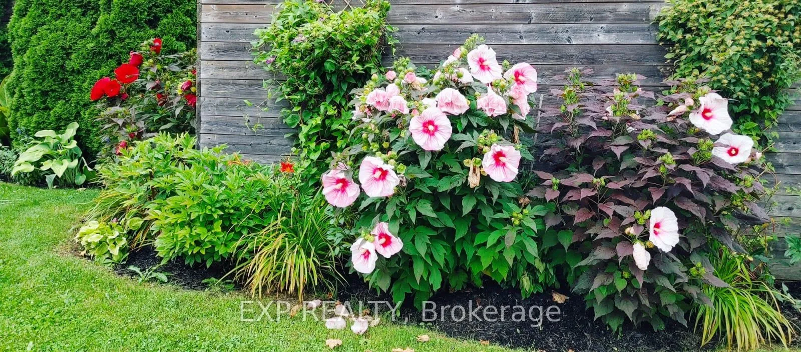 Photo 25 of 34 Taft Place, Clarington, Bowmanville — HOMEH