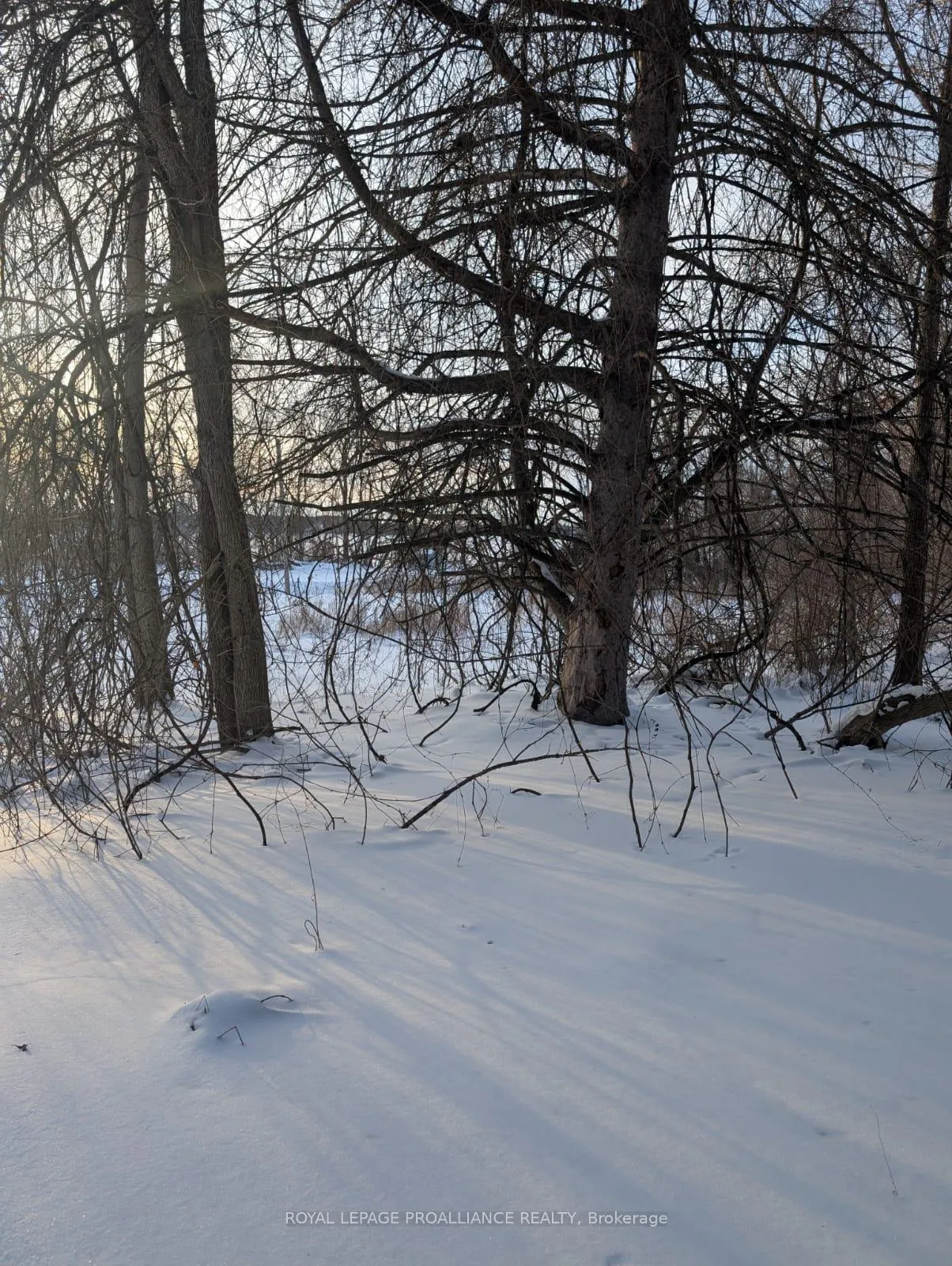 Photo 12 of 1407 County Rd 15, Prince Edward County, Sophiasburg Ward — HOMEH