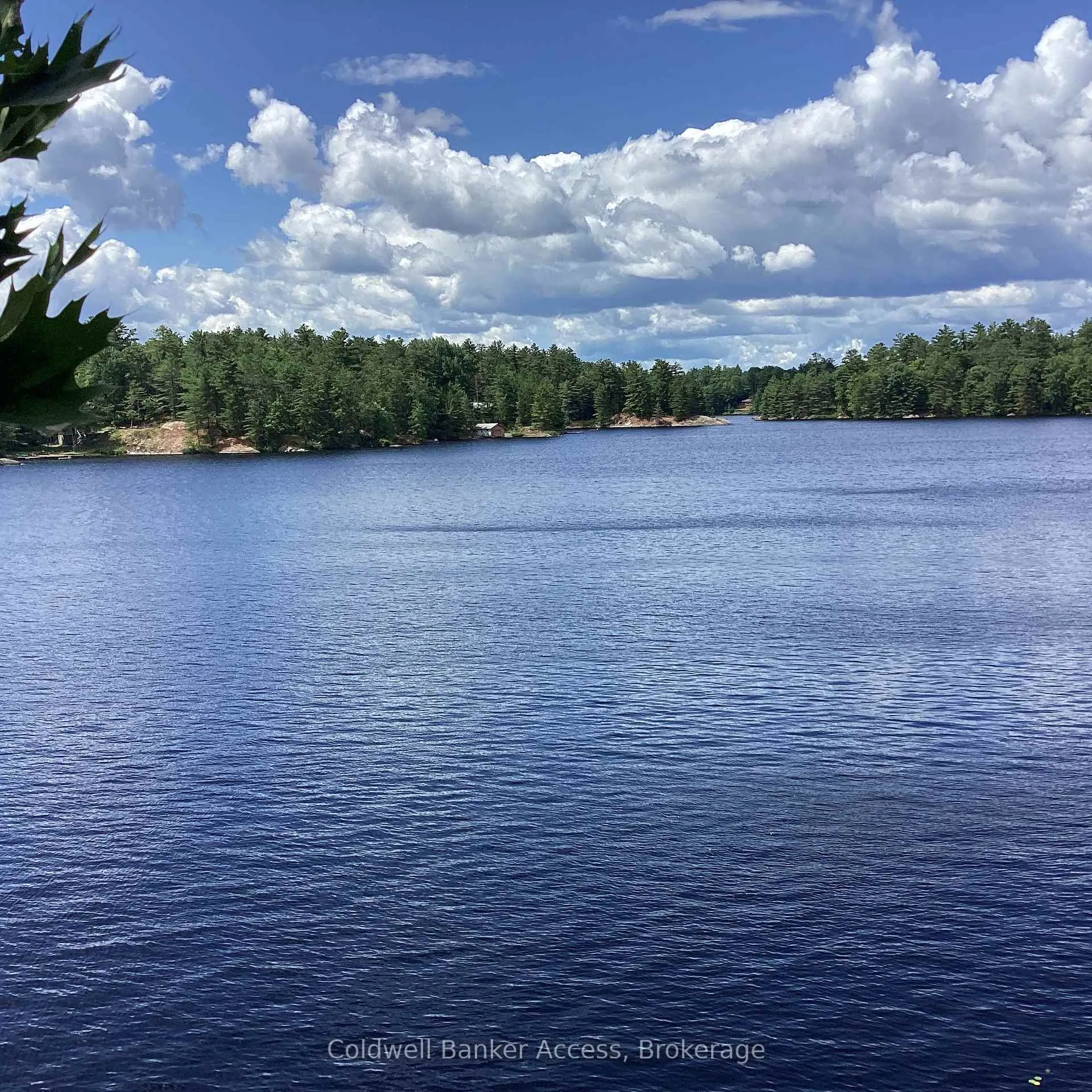 Photo 6 of 1029 Sunset Boulevard, Gravenhurst, Ryde — HOMEH