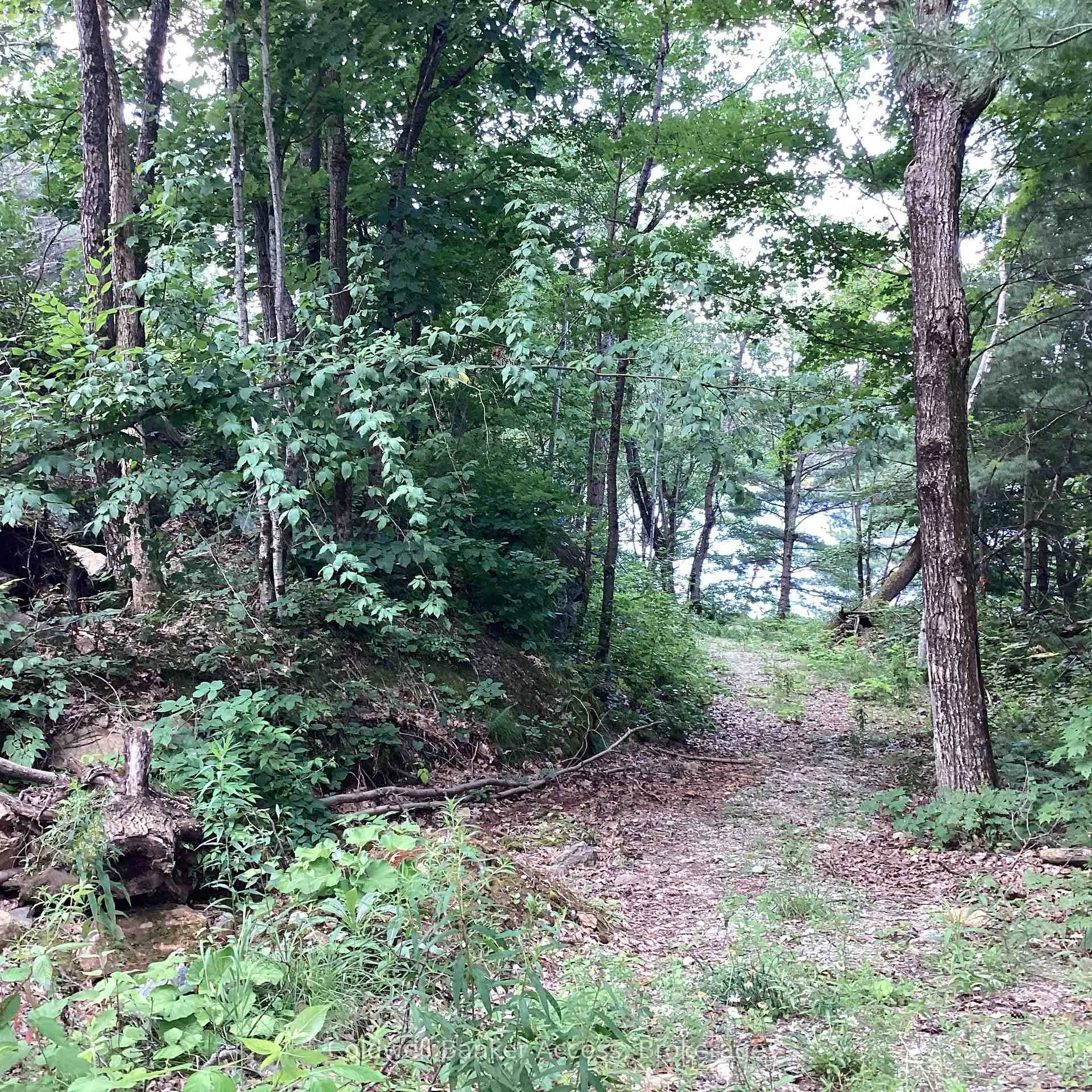 Photo 27 of 1029 Sunset Boulevard, Gravenhurst, Ryde — HOMEH