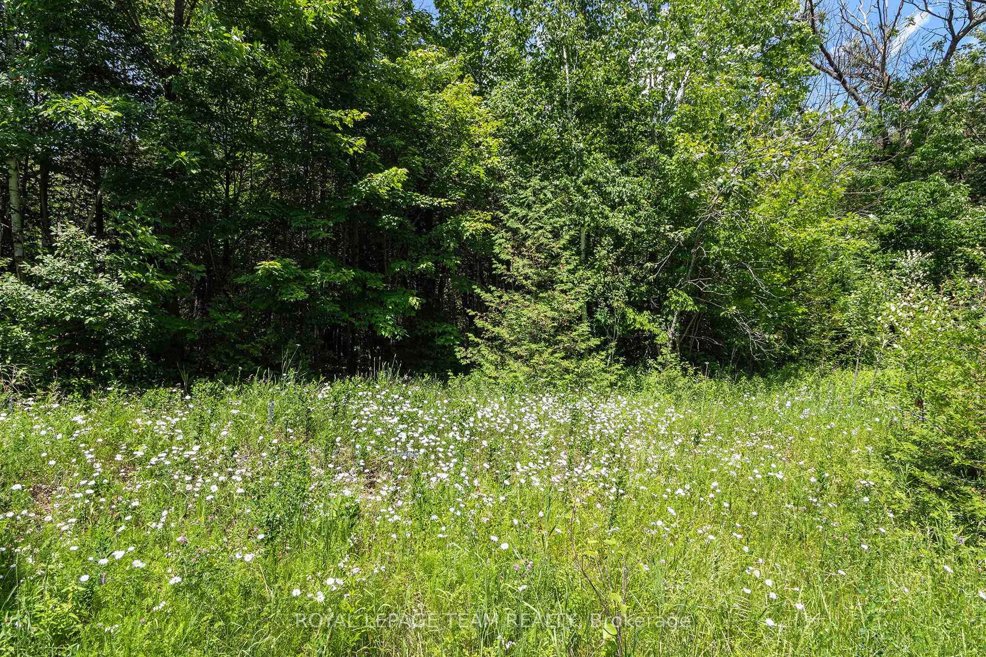Photo 4 of L2-3575 Paden Road, Ottawa, Rideau Twp S of Reg Rd 6 W of Mccordick Rd. — HOMEH