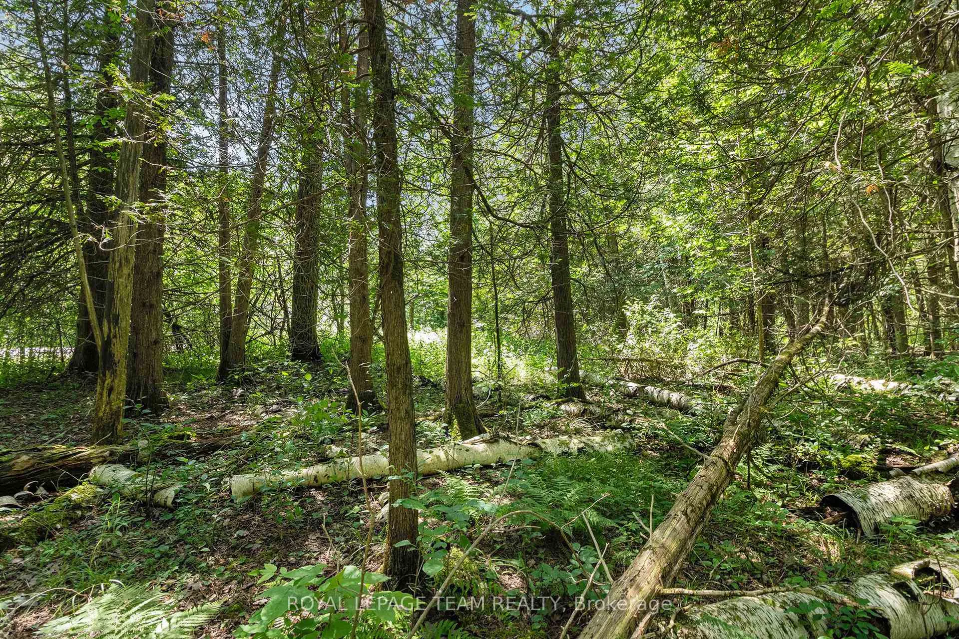 Photo 7 of L2-3575 Paden Road, Ottawa, Rideau Twp S of Reg Rd 6 W of Mccordick Rd. — HOMEH