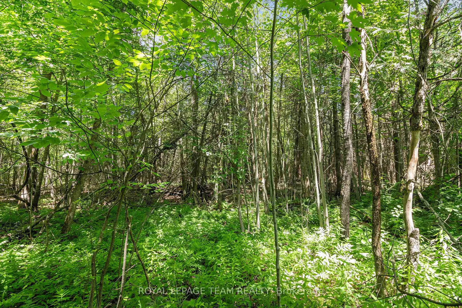 Photo 8 of L2-3575 Paden Road, Ottawa, Rideau Twp S of Reg Rd 6 W of Mccordick Rd. — HOMEH