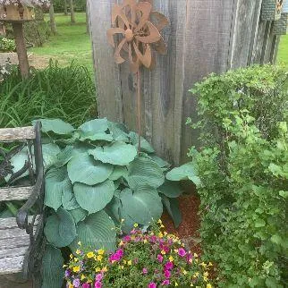 Photo 10 of 3322 Cedar Grove Road, Edwardsburgh/Cardinal, Edwardsburgh/Cardinal Twp — HOMEH