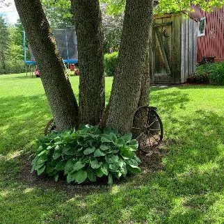Photo 14 of 3322 Cedar Grove Road, Edwardsburgh/Cardinal, Edwardsburgh/Cardinal Twp — HOMEH