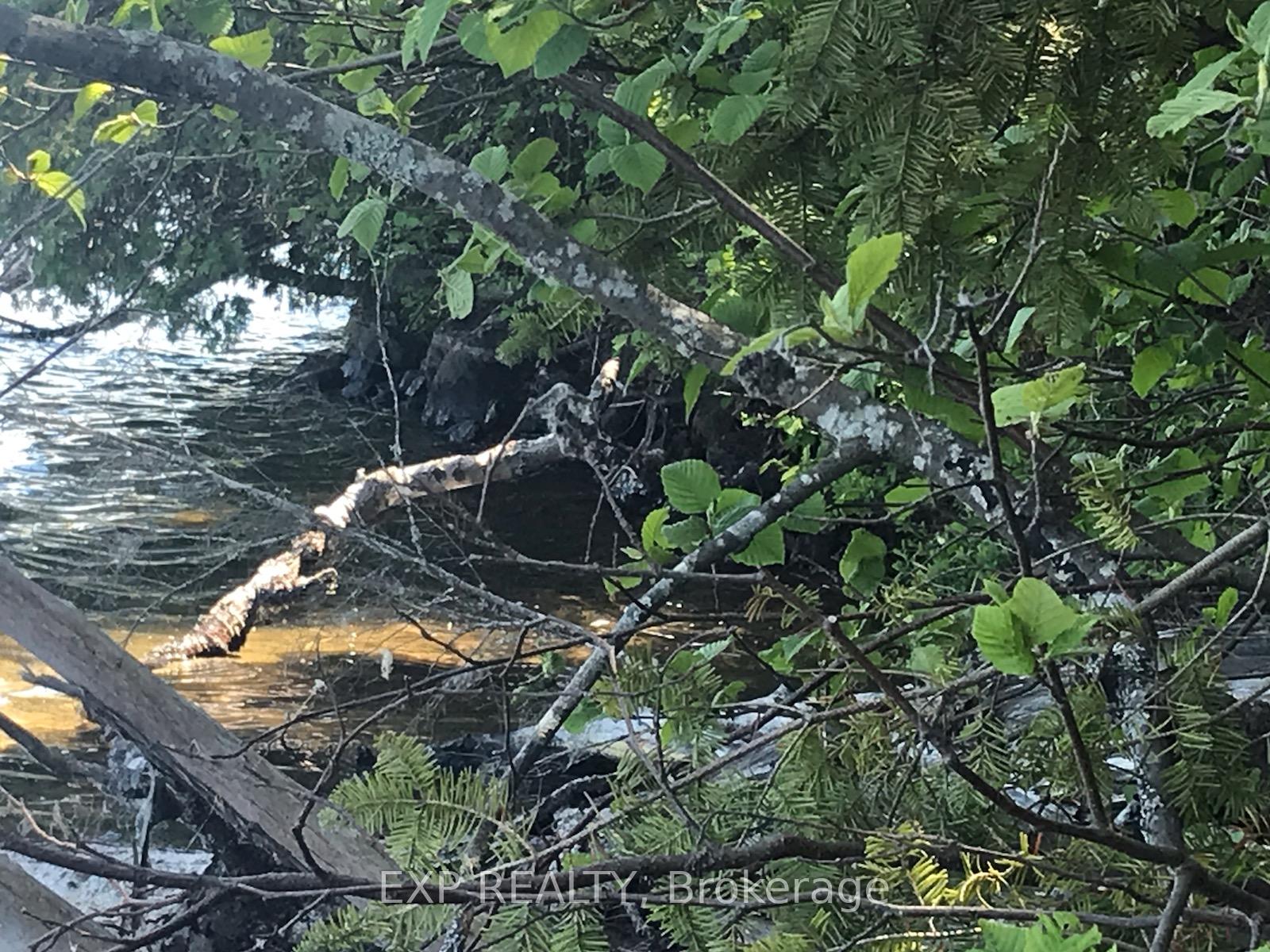 Photo 7 of Lot A Arbor Vitae Road, Madawaska Valley, Madawaska Valley — HOMEH