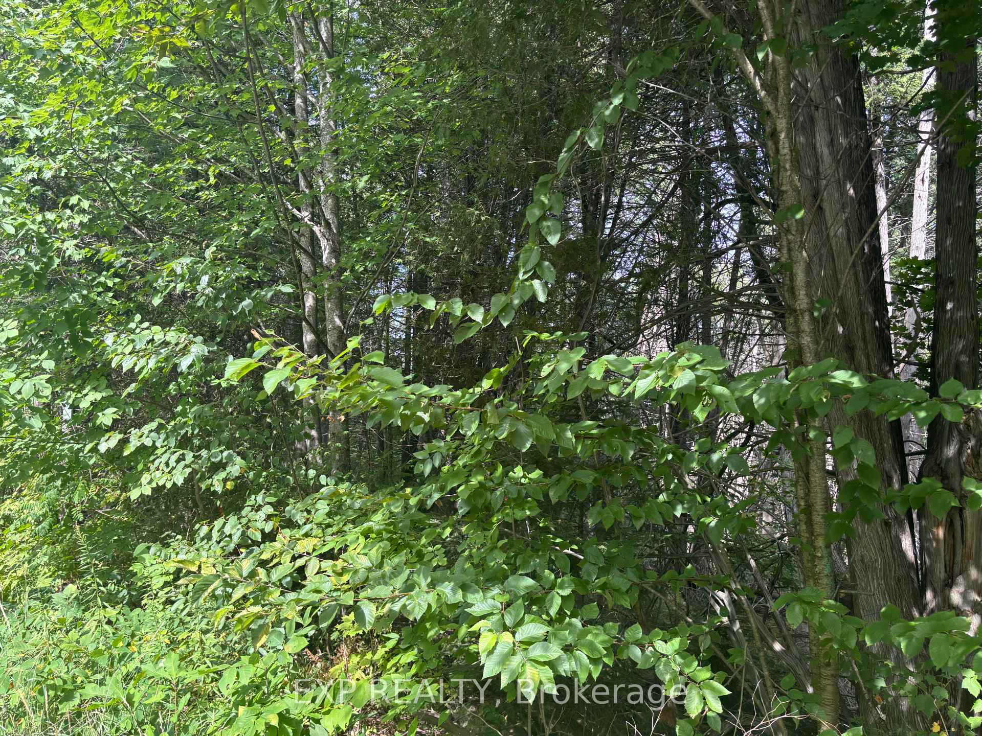 Photo 8 of Lot A Arbor Vitae Road, Madawaska Valley, Madawaska Valley — HOMEH