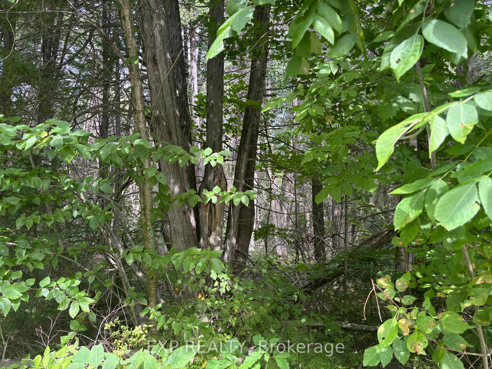Photo 9 of Lot A Arbor Vitae Road, Madawaska Valley, Madawaska Valley — HOMEH