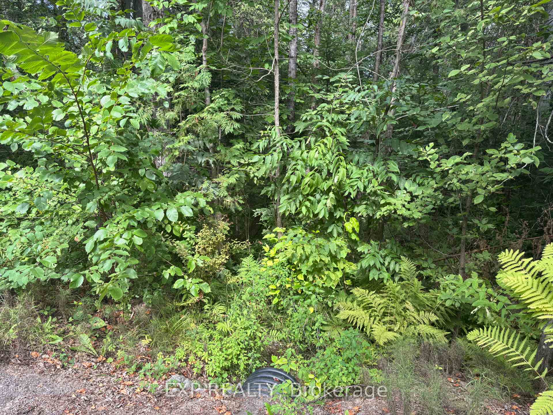 Photo 10 of Lot A Arbor Vitae Road, Madawaska Valley, Madawaska Valley — HOMEH