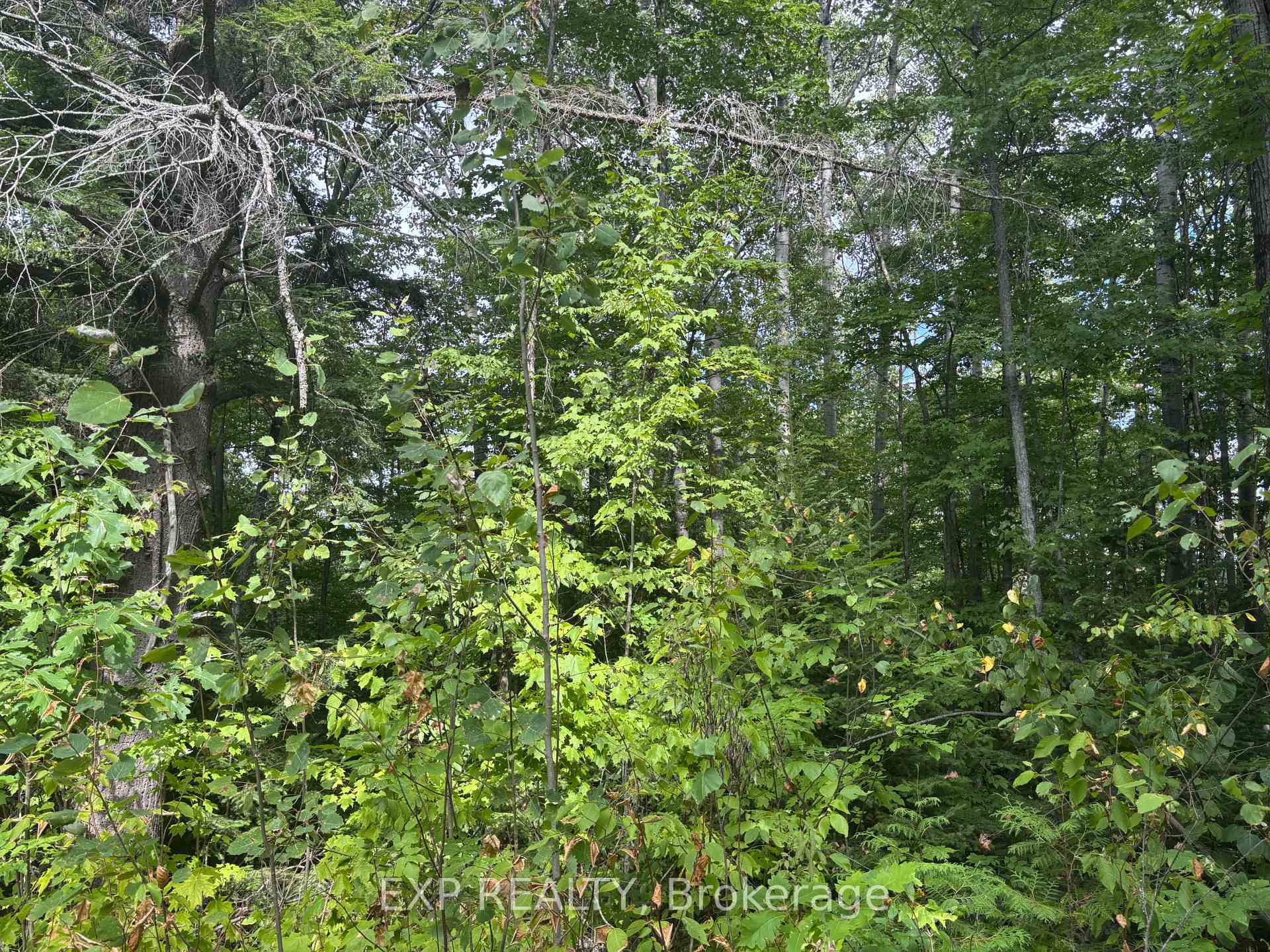 Photo 12 of Lot A Arbor Vitae Road, Madawaska Valley, Madawaska Valley — HOMEH