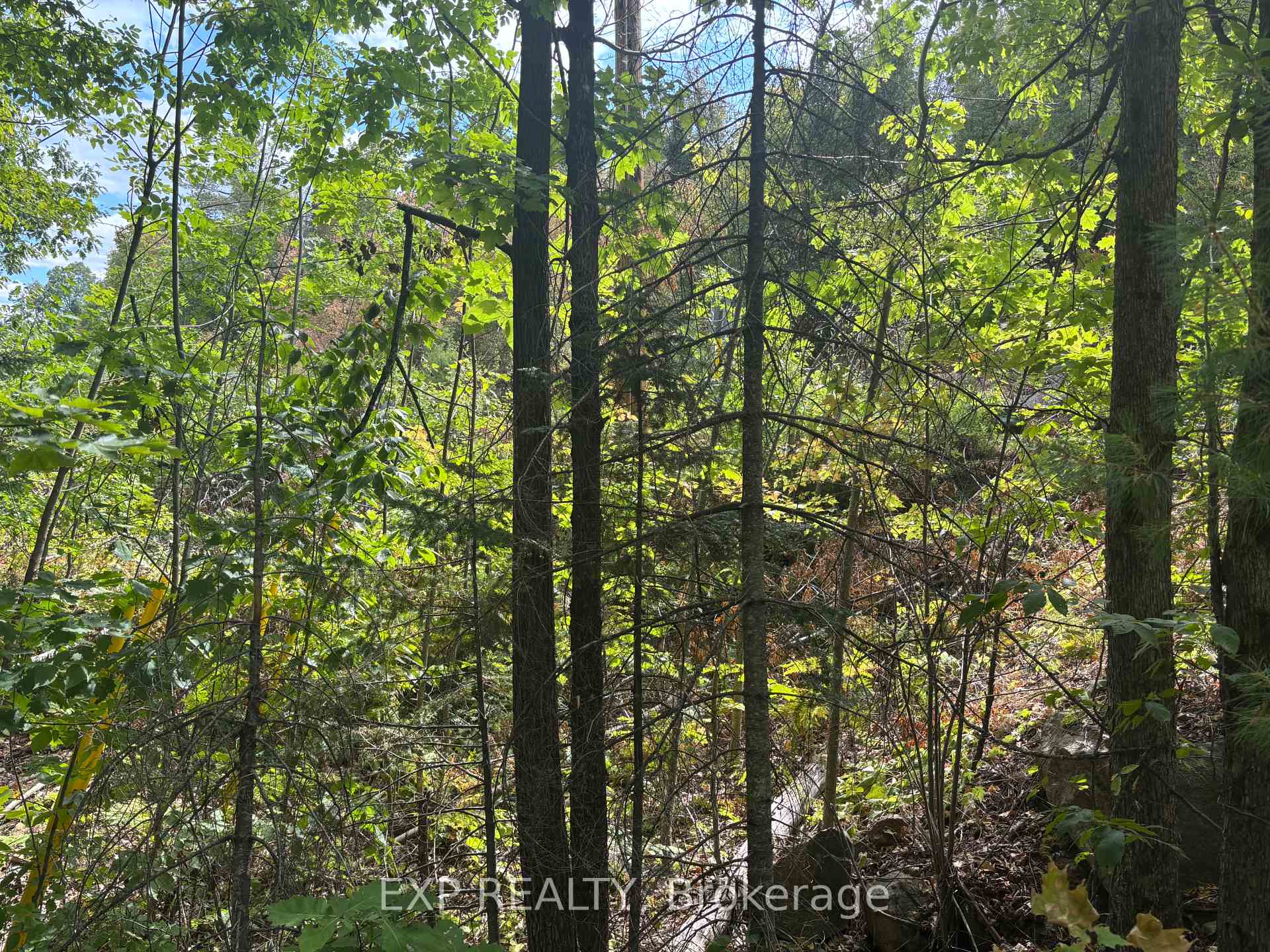Photo 13 of Lot A Arbor Vitae Road, Madawaska Valley, Madawaska Valley — HOMEH
