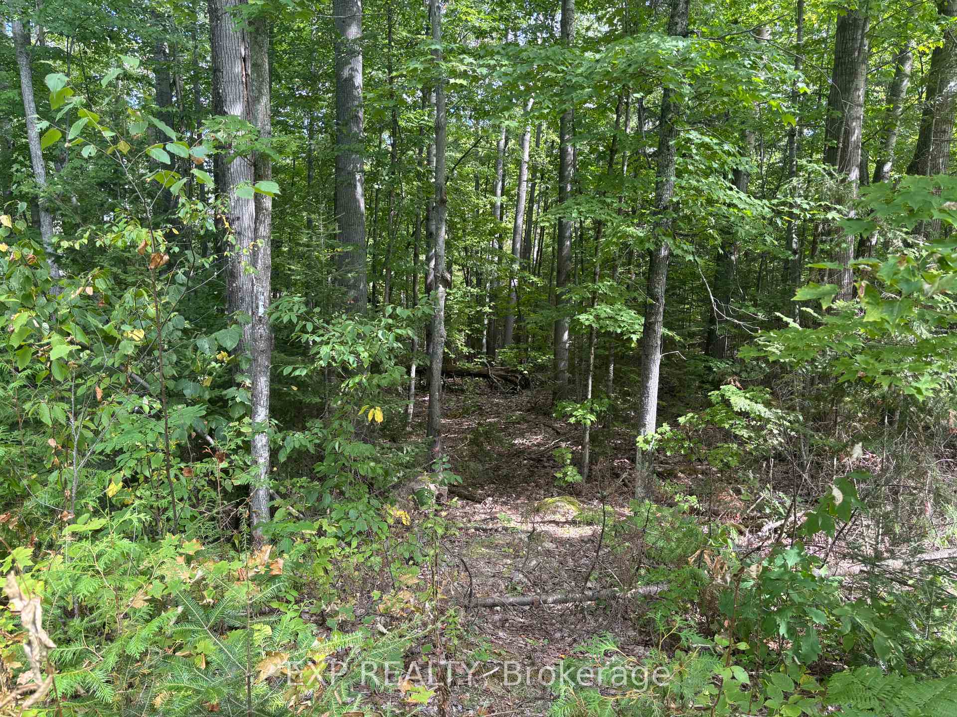 Photo 14 of Lot A Arbor Vitae Road, Madawaska Valley, Madawaska Valley — HOMEH