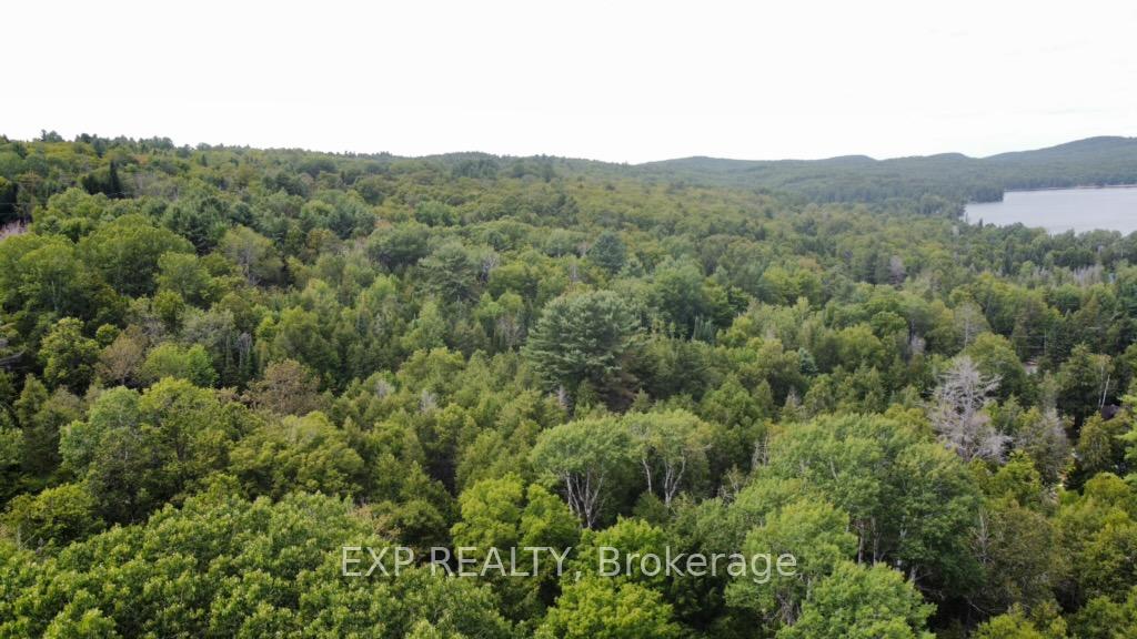 Photo 15 of Lot A Arbor Vitae Road, Madawaska Valley, Madawaska Valley — HOMEH