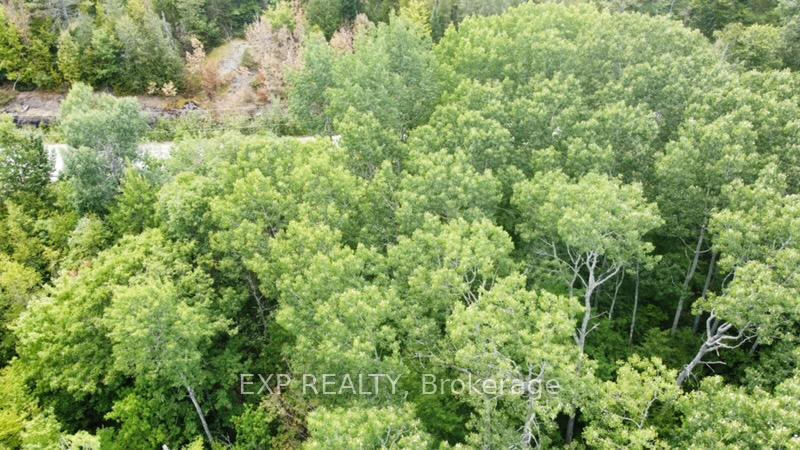 Photo 17 of Lot A Arbor Vitae Road, Madawaska Valley, Madawaska Valley — HOMEH