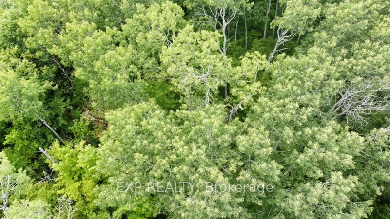 Photo 18 of Lot A Arbor Vitae Road, Madawaska Valley, Madawaska Valley — HOMEH