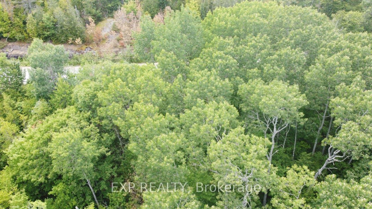 Photo 24 of Lot A Arbor Vitae Road, Madawaska Valley, Madawaska Valley — HOMEH