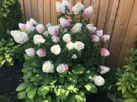 Photo 39 of 8 Elmore Drive N, Hamilton, Eleanor — HOMEH