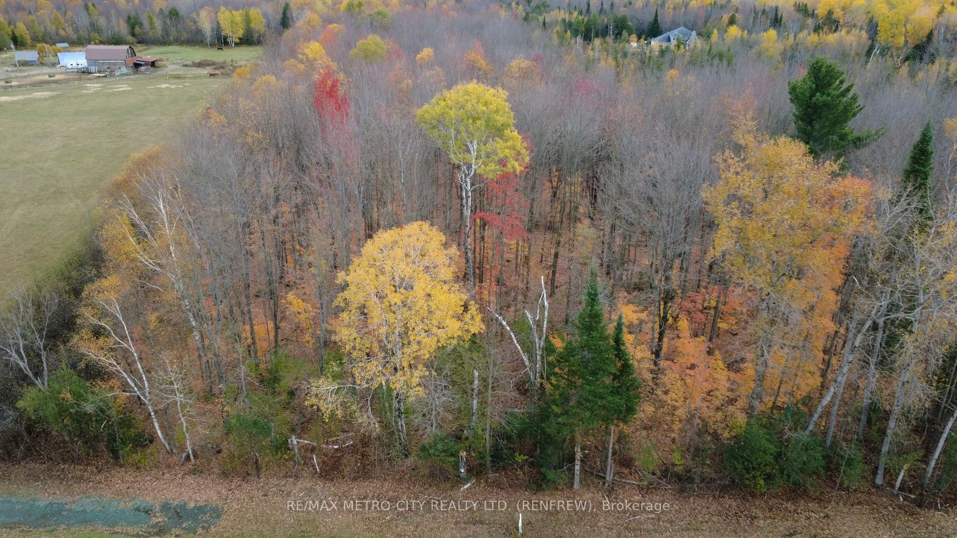 Photo 5 of Storyland Road, Horton, Horton Twp — HOMEH