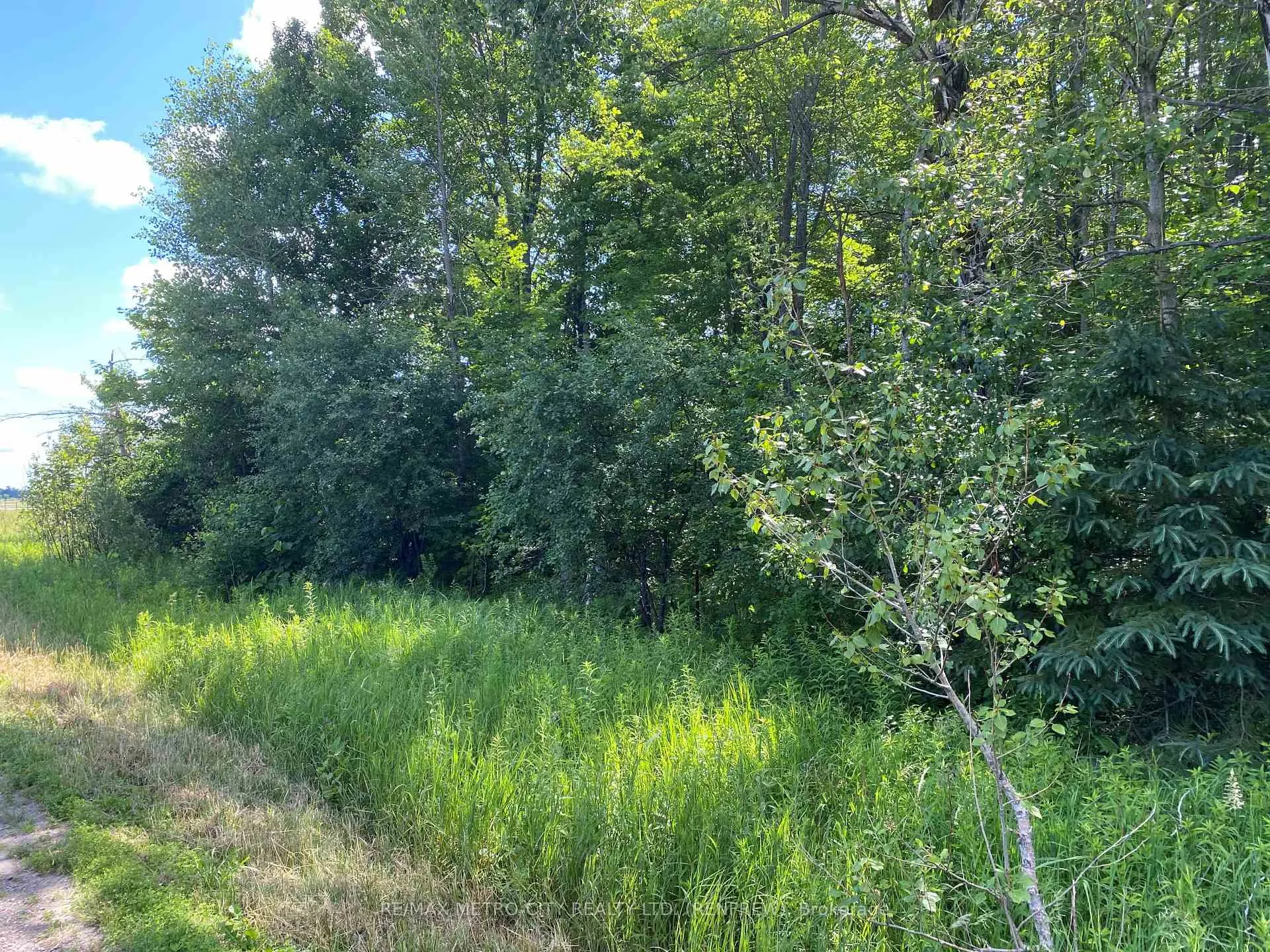 Photo 6 of Storyland Road, Horton, Horton Twp — HOMEH