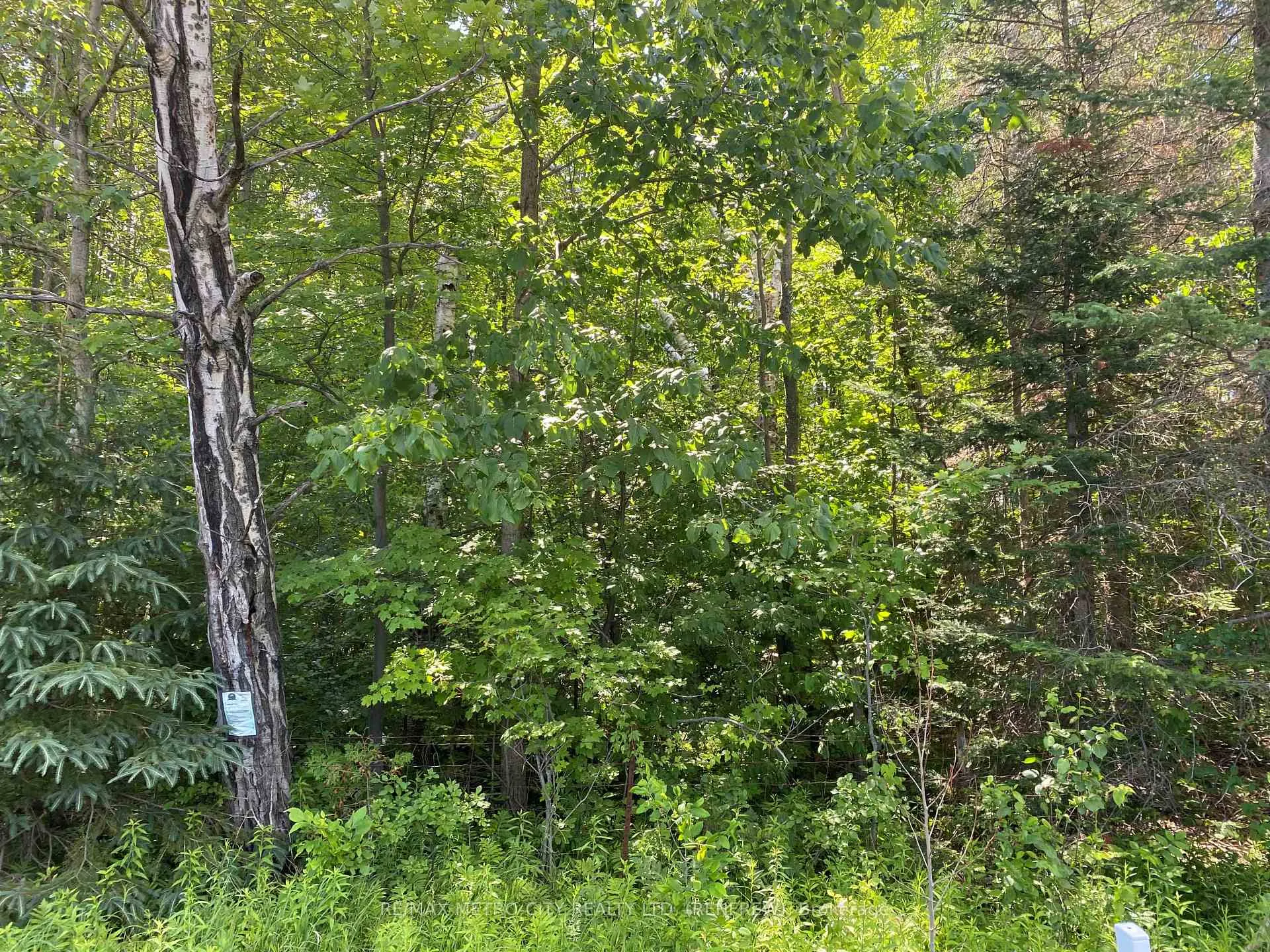 Photo 8 of Storyland Road, Horton, Horton Twp — HOMEH