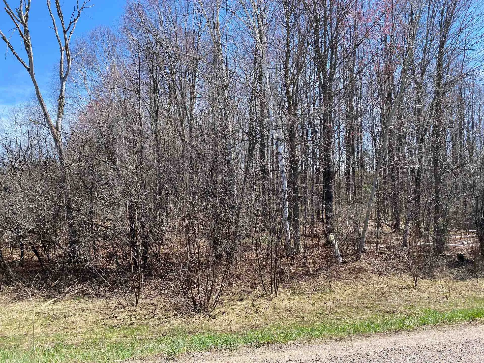 Photo 9 of Storyland Road, Horton, Horton Twp — HOMEH