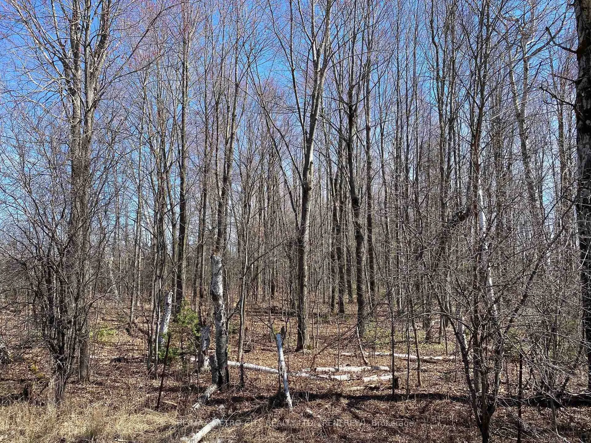 Photo 10 of Storyland Road, Horton, Horton Twp — HOMEH