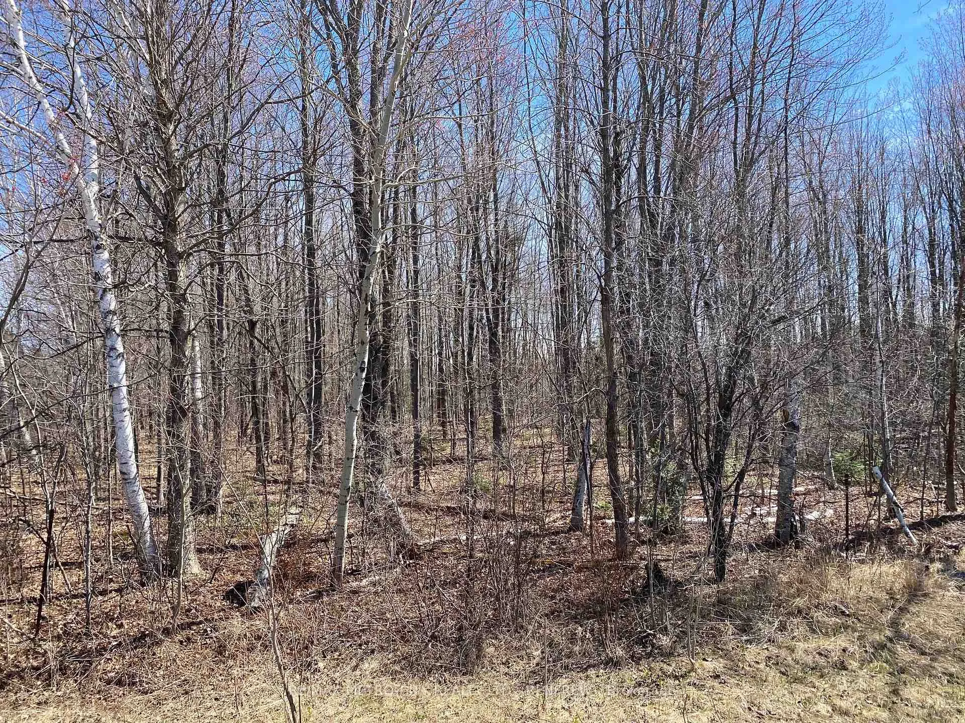 Photo 11 of Storyland Road, Horton, Horton Twp — HOMEH