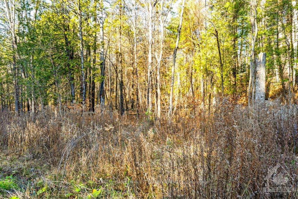 Photo 2 of 1004 Lavant Mill Road, Lanark Highlands, Lanark Highlands (Dalhousie) Twp — HOMEH
