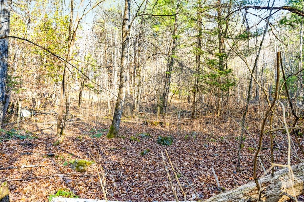Photo 3 of 1004 Lavant Mill Road, Lanark Highlands, Lanark Highlands (Dalhousie) Twp — HOMEH