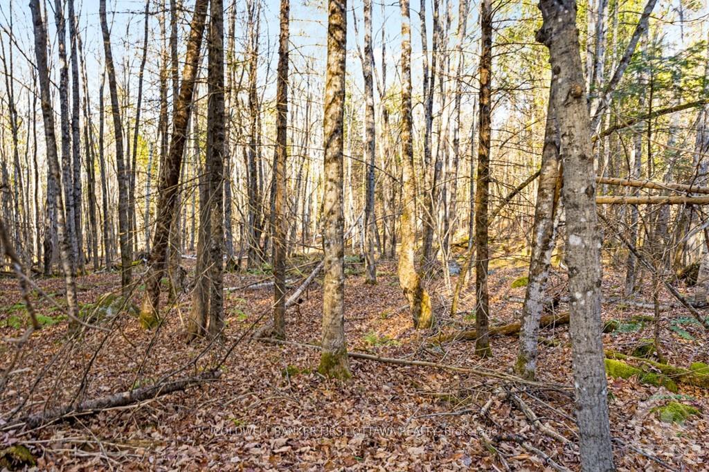 Photo 4 of 1004 Lavant Mill Road, Lanark Highlands, Lanark Highlands (Dalhousie) Twp — HOMEH