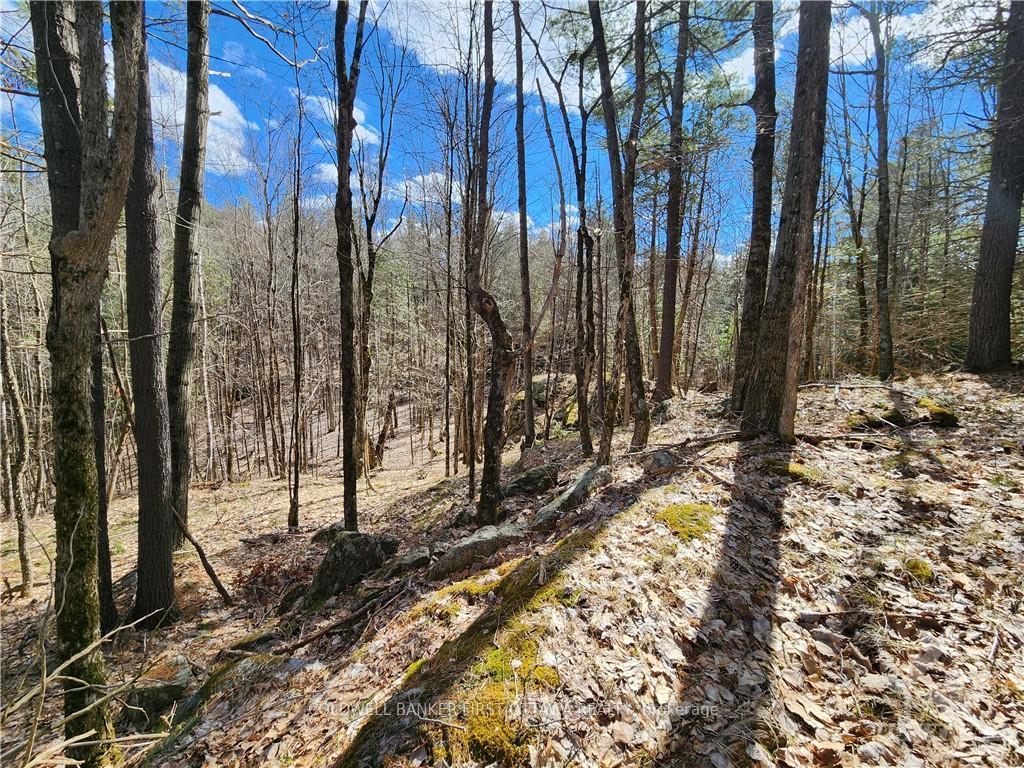 Photo 5 of 1004 Lavant Mill Road, Lanark Highlands, Lanark Highlands (Dalhousie) Twp — HOMEH