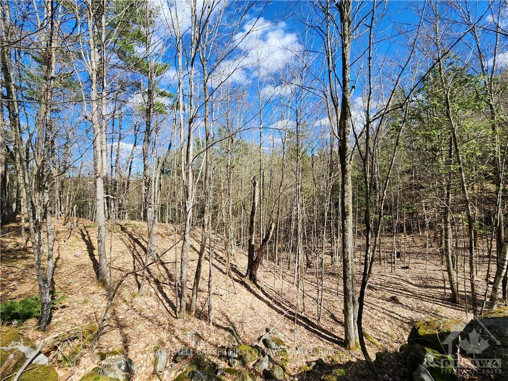 Photo 8 of 1004 Lavant Mill Road, Lanark Highlands, Lanark Highlands (Dalhousie) Twp — HOMEH
