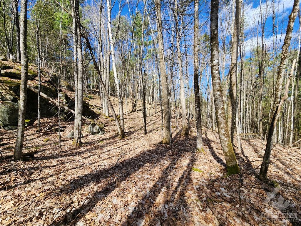 Photo 9 of 1004 Lavant Mill Road, Lanark Highlands, Lanark Highlands (Dalhousie) Twp — HOMEH