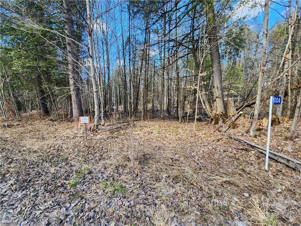 Photo 10 of 1004 Lavant Mill Road, Lanark Highlands, Lanark Highlands (Dalhousie) Twp — HOMEH