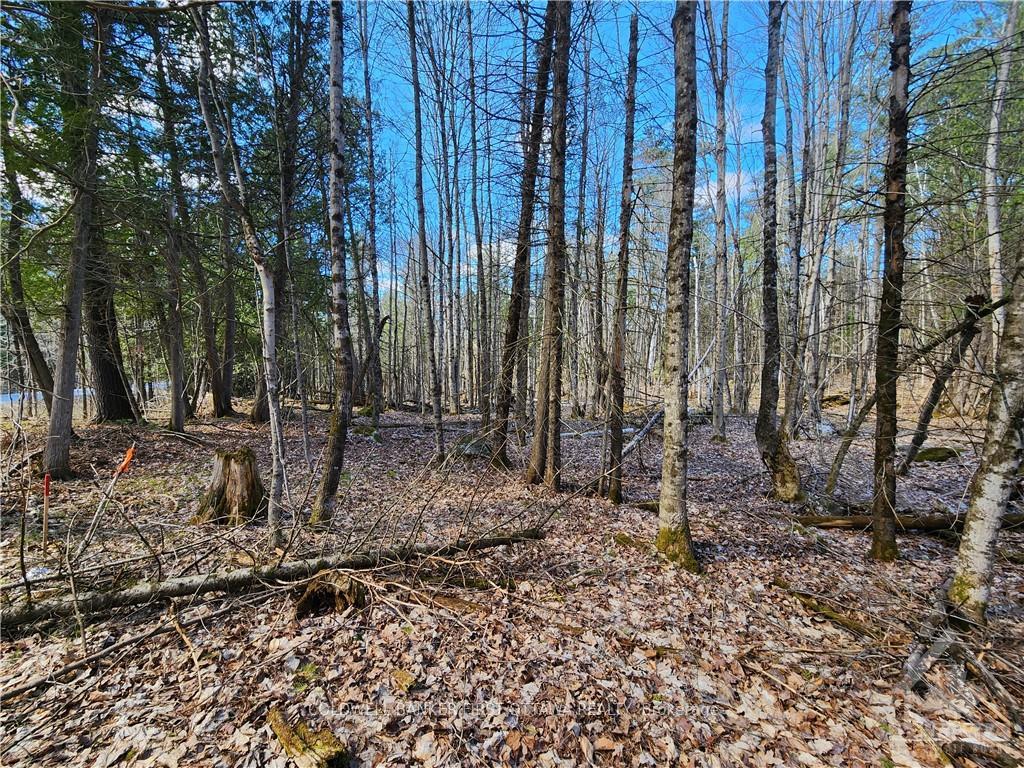 Photo 11 of 1004 Lavant Mill Road, Lanark Highlands, Lanark Highlands (Dalhousie) Twp — HOMEH