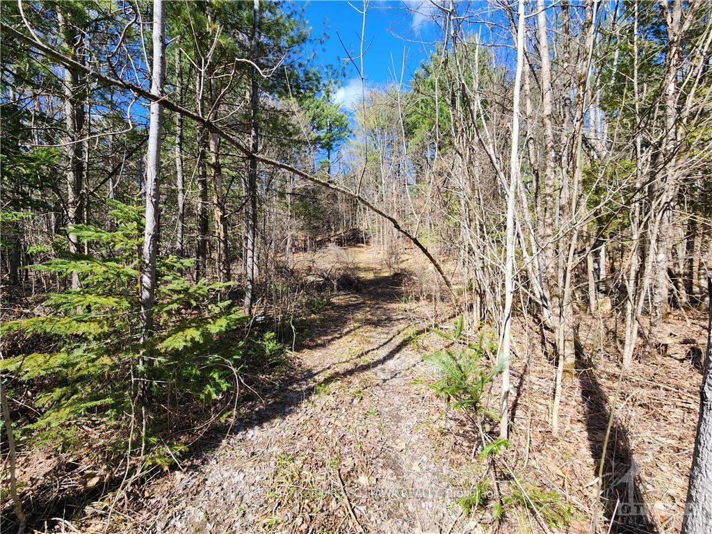 Photo 12 of 1004 Lavant Mill Road, Lanark Highlands, Lanark Highlands (Dalhousie) Twp — HOMEH