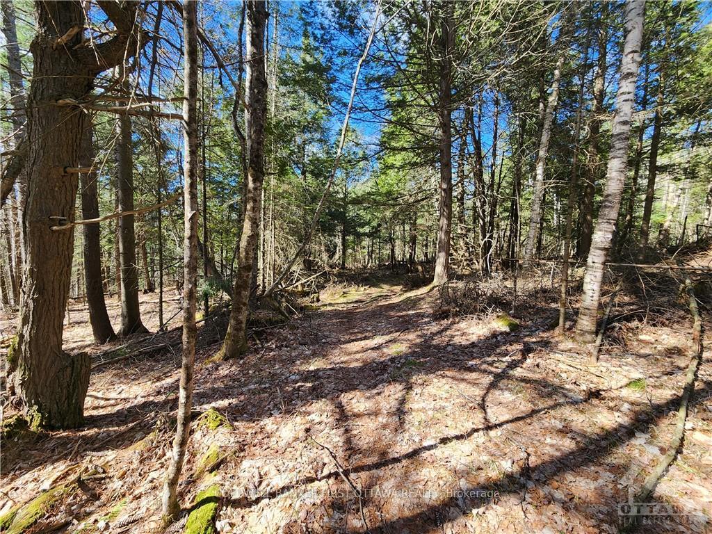 Photo 13 of 1004 Lavant Mill Road, Lanark Highlands, Lanark Highlands (Dalhousie) Twp — HOMEH